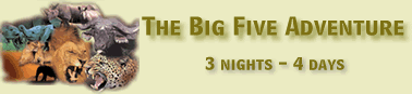 The Big Five Adventure