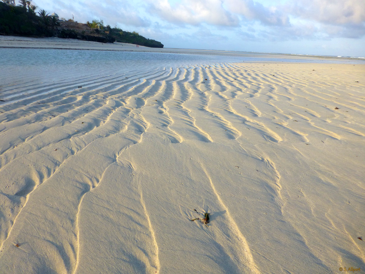 Beach-Dunes-Coast