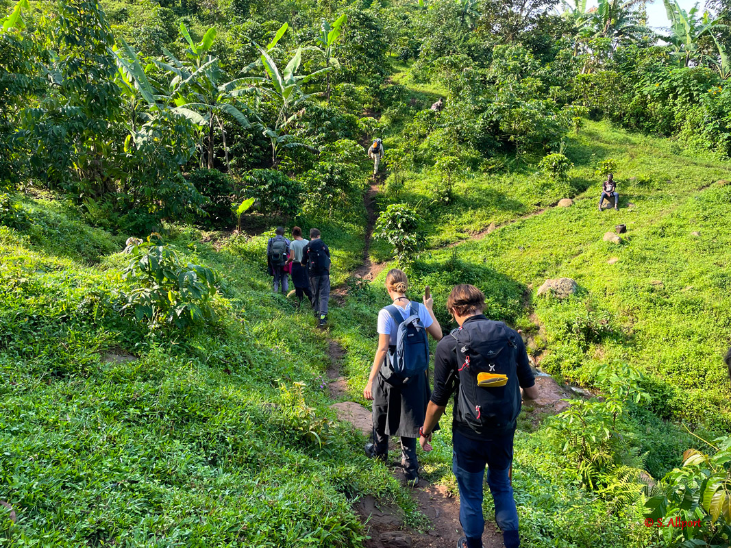 Bwindi Impenetrable National Park