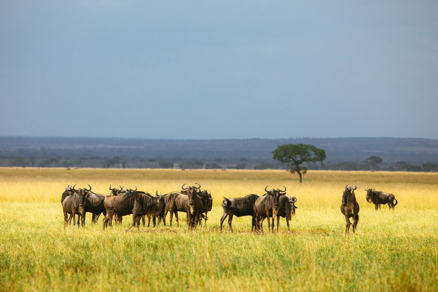 Serengeti National Park