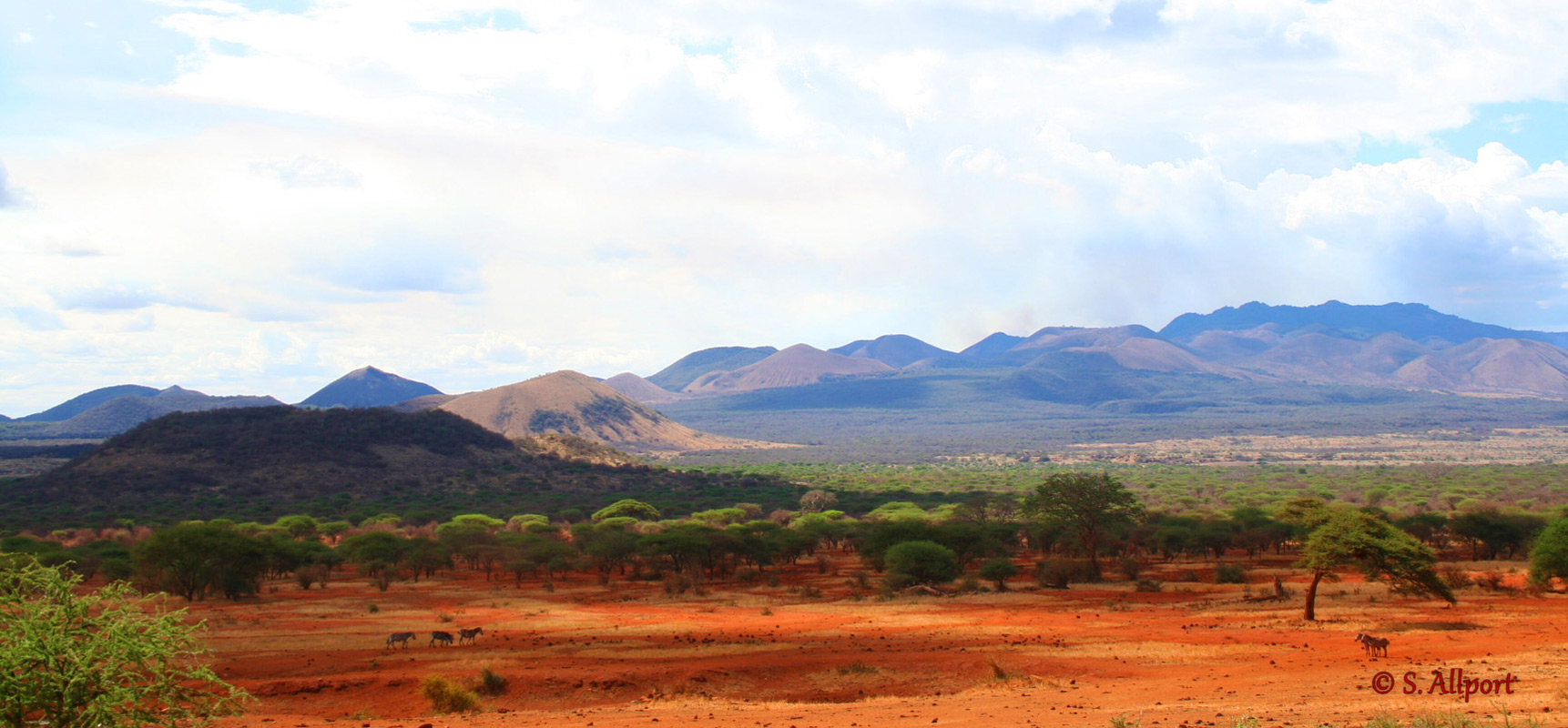 Tsavo East & West National Parks